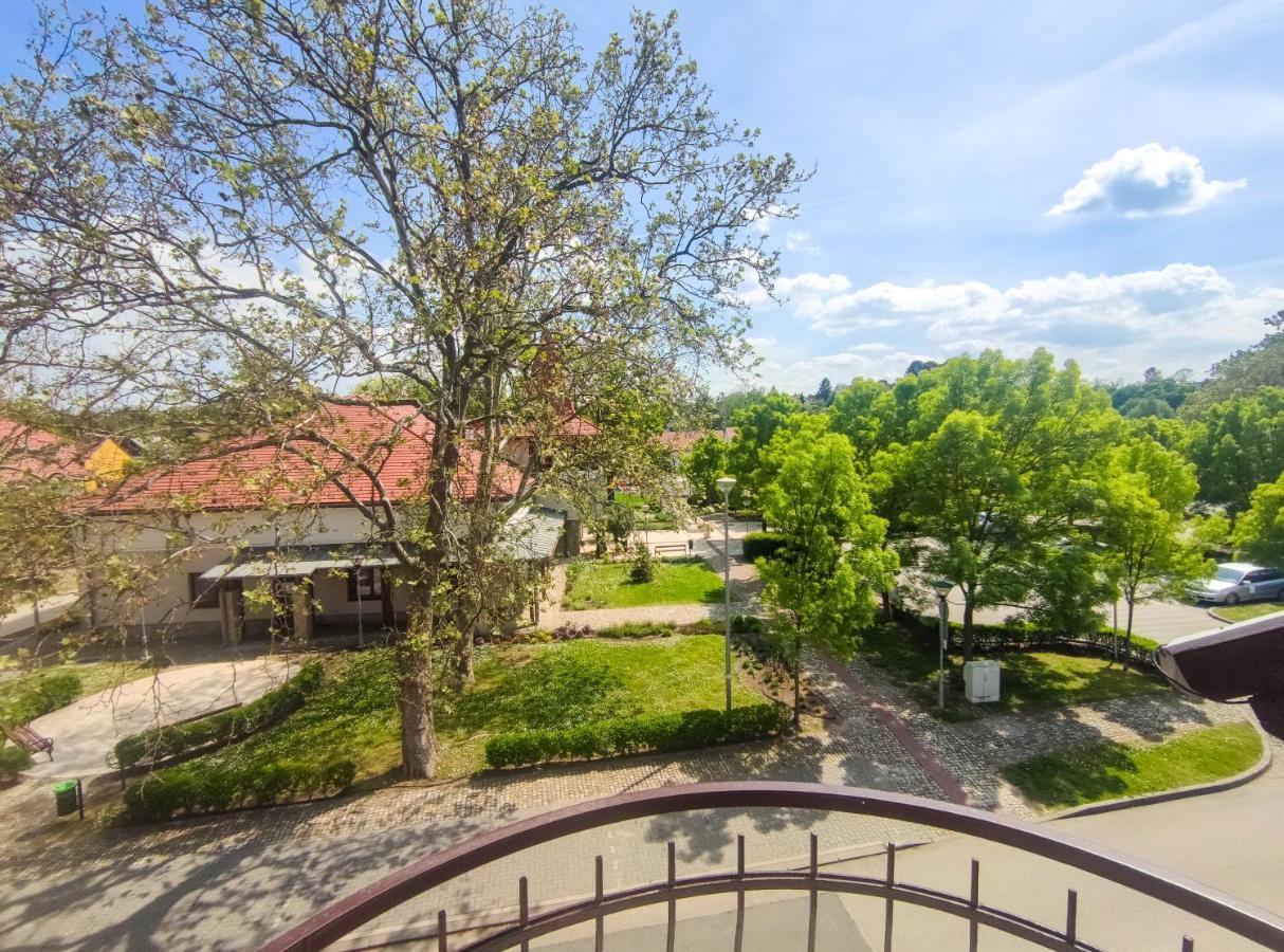 Viktoria Panzio Zamardi Hotel Exterior photo